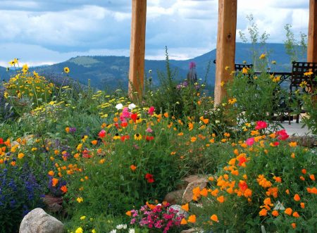 Firebreak Wildflower Mix